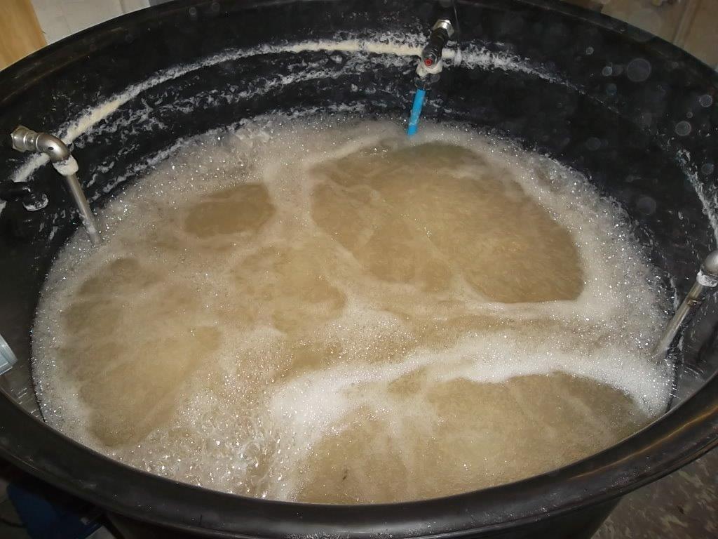 corgin-history-early-days-bio-augmentation