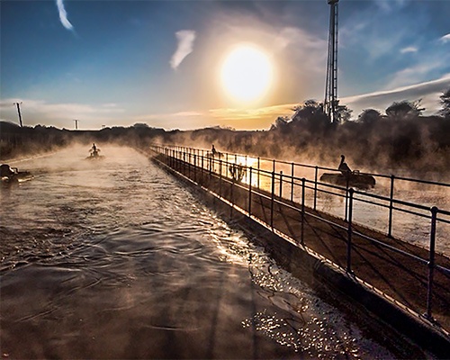 Photo Competition Winner!