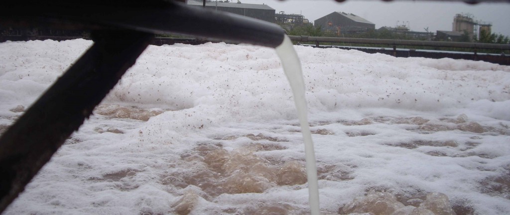 Dosing activated bacteria into industrial effluent