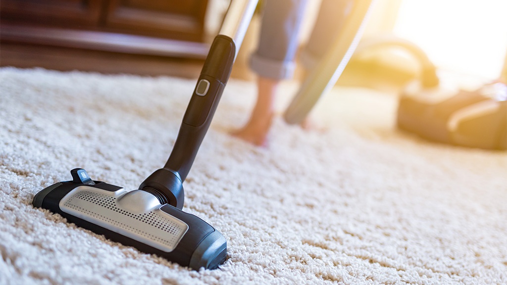 Dust Allergy? 7 Smart Strategies to Get Rid of the Dust in Your House