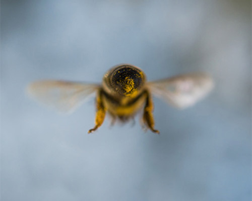 Dust Suppression with a Sting in the Tail