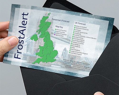 The Frost is Back and We're Here to Help