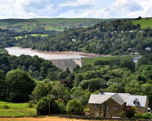 Corgin Helps the Whaley Bridge Relief Effort!